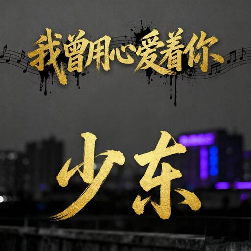 我曾用心爱着你 (DJ京仔版)铃声