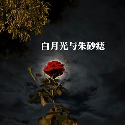 白月光与朱砂痣铃声