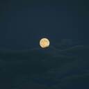 你不知道的事~！ring由hanxu製造~~