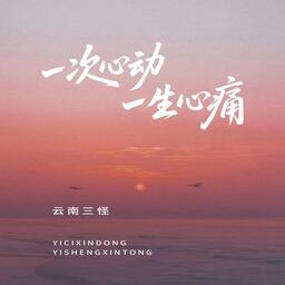 一次心动一生心痛-dj铃声