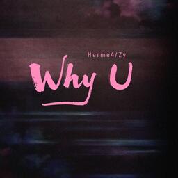 Herme4,Zy - Why U铃声