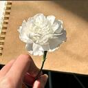 木奇铃声 - Ocean Drop (动感氛围版)