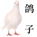 马上马上马上就接你电话