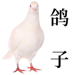 马上马上马上就接你电话铃声