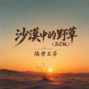 沙漠中的草