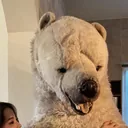 爱你