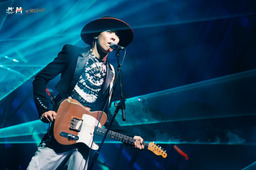 Love Never Stayed铃声