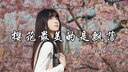 樱花最美的是飘落 (心碎版)