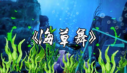 海草舞铃声
