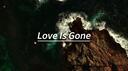 Love is Gone (cover )